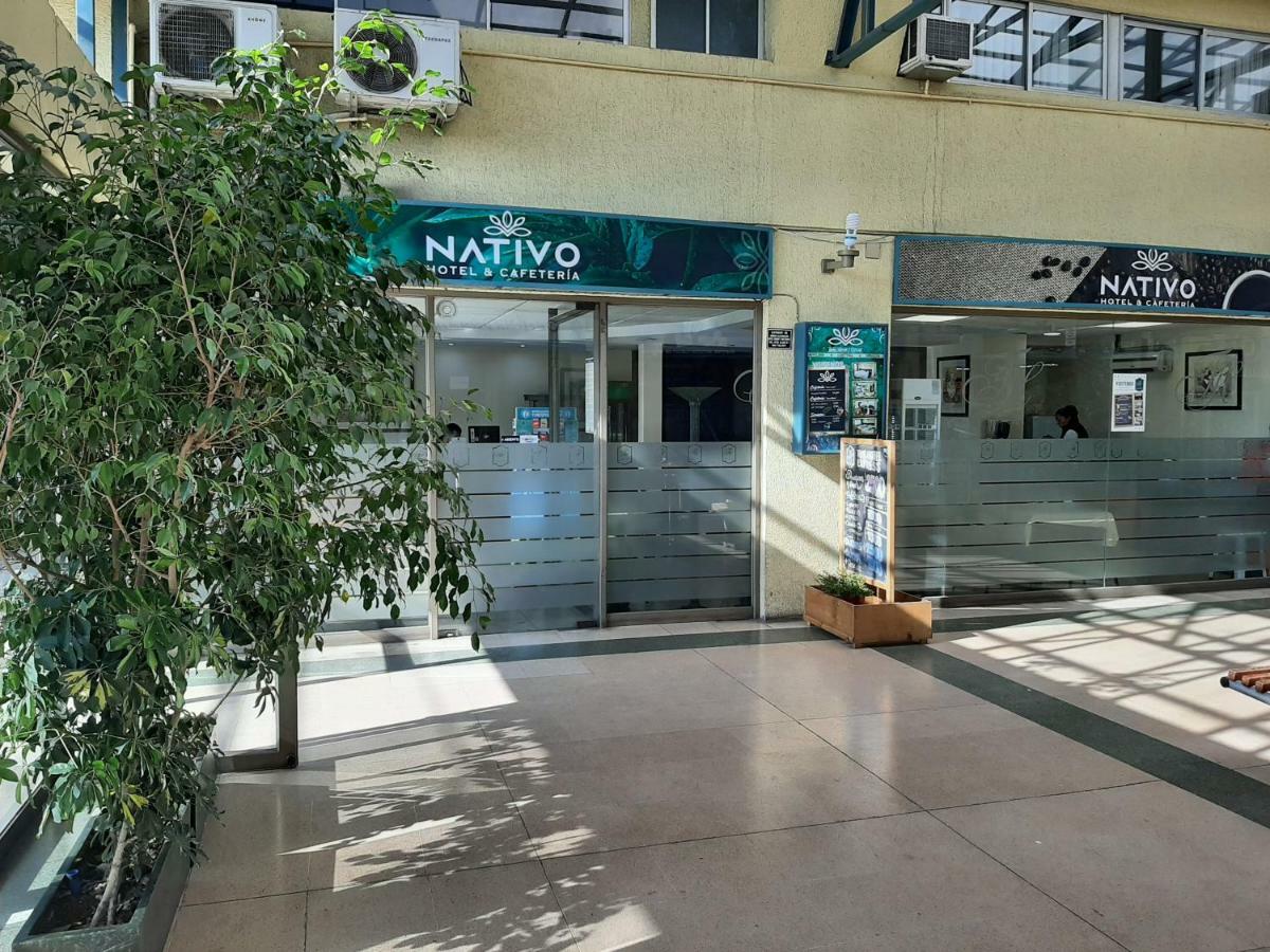 Nativo Hotel Y Cafeteria Талька Экстерьер фото